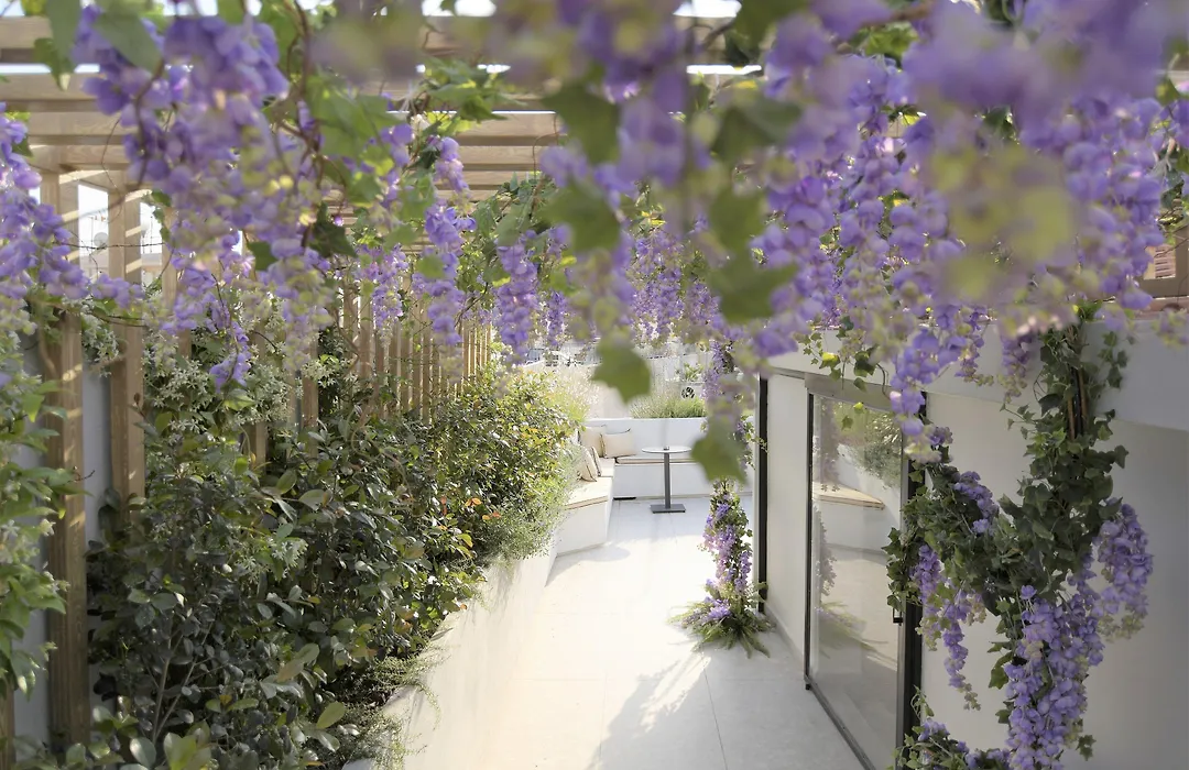 Cityzoe Athens Suites-1