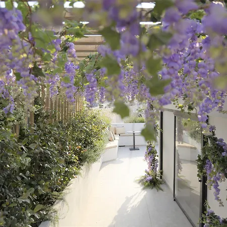 Cityzoe Athens Suites-3